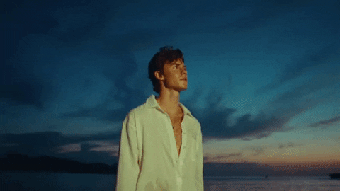 Summer Of Love GIF by Shawn Mendes