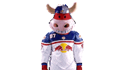 Rob Ice Hockey Sticker by EC Red Bull Salzburg