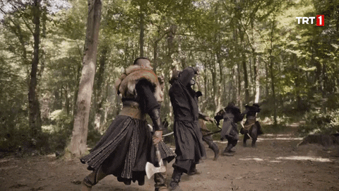Dirilis Ertugrul Trt1 GIF by WASS Medya