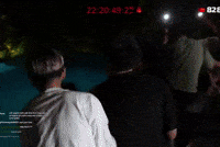 Swim Livestream GIF