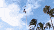 news puerto rico bad bunny protests residente GIF