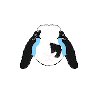 bosshappythebunny bosshappy Sticker