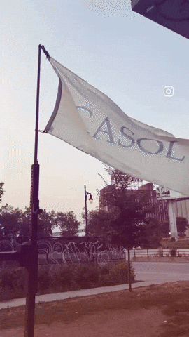Winning Martial Arts GIF by Casol
