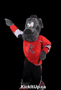 competitionwizard dance competition rosco kick it up kick it up rosco GIF