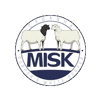 Cabanhamisk Sticker by Haras Misk