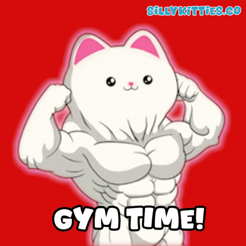 Gym Muscle GIF by Silly Kitties