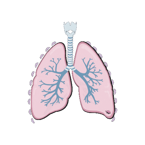 revmed smoking air breathing anatomy Sticker