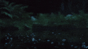 Appear Climate Change GIF by First Lady Agency
