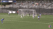 kim little goal celebration GIF by Seattle Reign FC