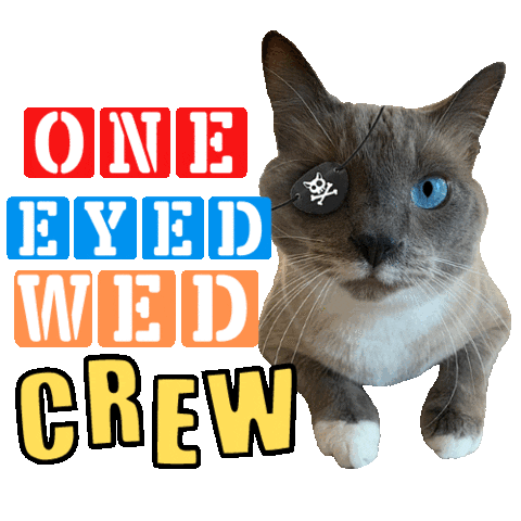 One Eyed Cat Sticker