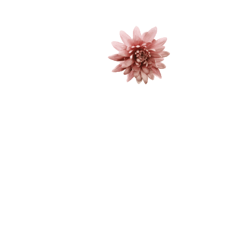Flower Sticker by Fabletics