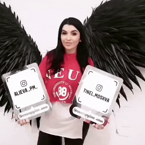 artemmau giphygifmaker GIF