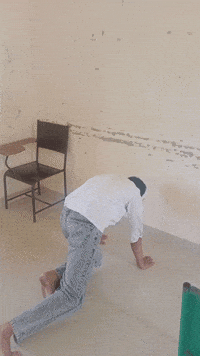 Gymnastics Handstand GIF