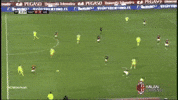 nss-sports milan taarabt GIF