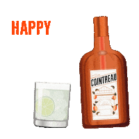 Celebrate Cinco De Mayo Sticker by cointreau_us
