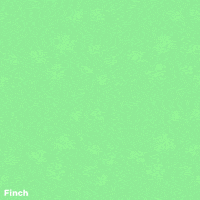 Happy St Patricks Day GIF by Finch Care