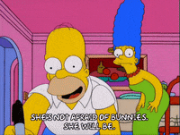 homer simpson GIF