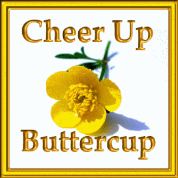 buttercup GIF
