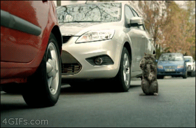 GIF by Demic