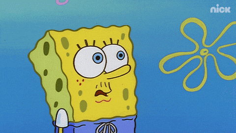 GIF by SpongeBob SquarePants