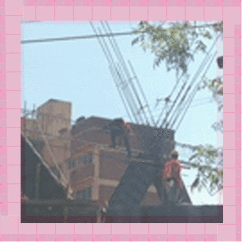 angyrecorta  GIF