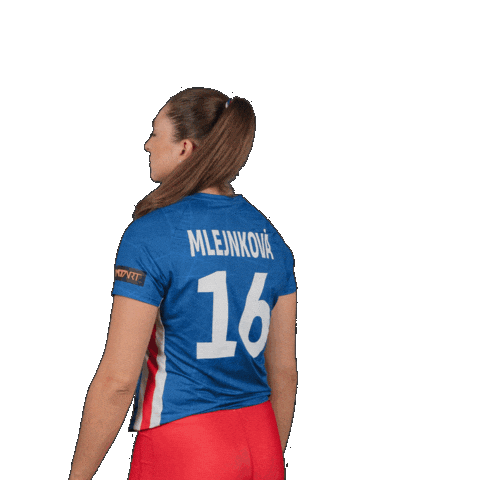 Eurovolley Sticker by Volejbal Brno