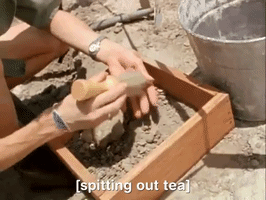 the mystery files of shelby woo nicksplat GIF