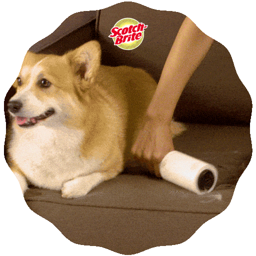 Scotchbrite Sticker by 3M