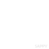 Good Morning Hello GIF by Sappy Seals