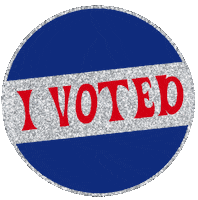 Voting Use Your Voice Sticker by Alexandra Five