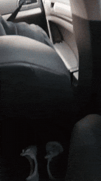 Gay Sussy GIF by Beartooth