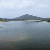 Africa Environment GIF by World Bank