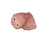 Oyster Sticker