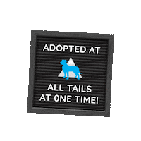 Adopt Animal Rescue Sticker by One Tail at a Time | PDX
