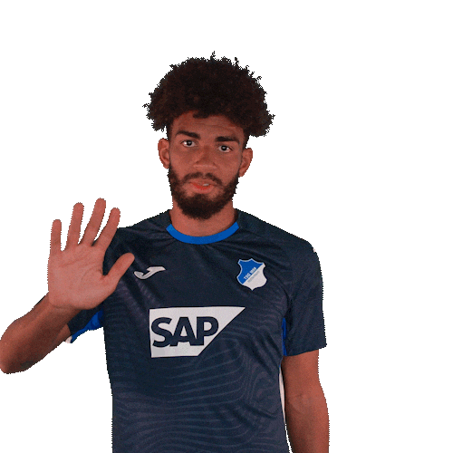 Kevin Akpoguma Sport Sticker by TSG Hoffenheim