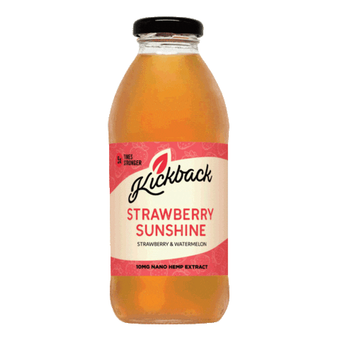 Strawberry Lemonade Sticker by enjoykickback