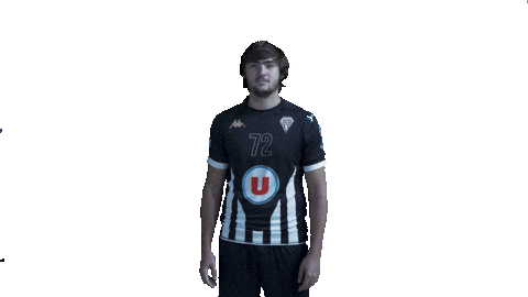 Sport Sticker by SCO Handball