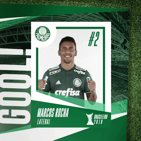 GIF by SE Palmeiras