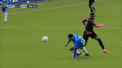 GIF by FOX Sports