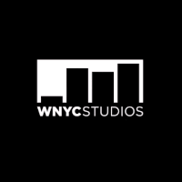 4th of july fireworks GIF by WNYC Studios