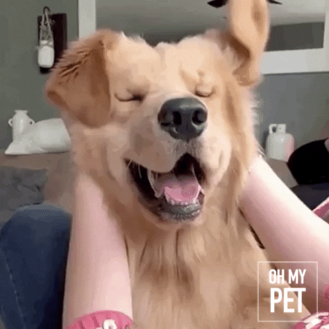 jimenapaolasosa giphyupload GIF