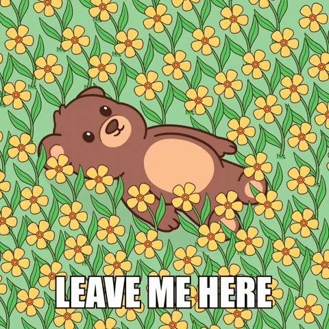 Happy Teddy Bear GIF by BEARISH