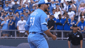 Lets Go Yes GIF by Kansas City Royals