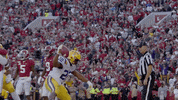 College Football Nfl GIF by SEC Network