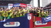 NorwichCityFC ncfc otbc norwich city fc GIF
