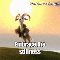 Sun Joy GIF by Radiantelope