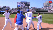 Excited Chicago Cubs GIF
