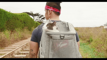 Travelcatlife GIF by Your Cat Backpack