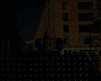 zac efron love GIF