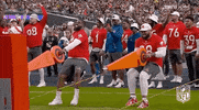 Nfl Pro Bowl Football GIF by NFL